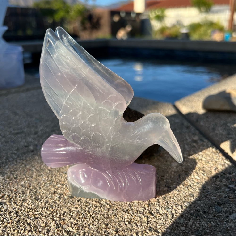 Elegant Carved Fluorite Hummingbird Figurine